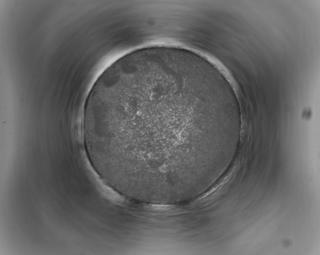 X0000102351295200808011155