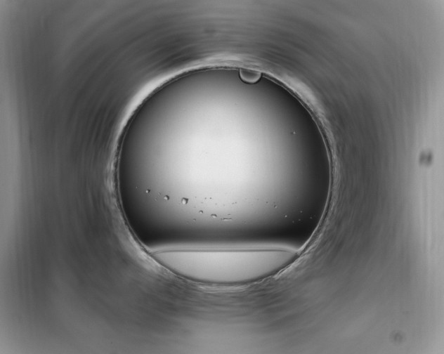 X0000102351296200808011155