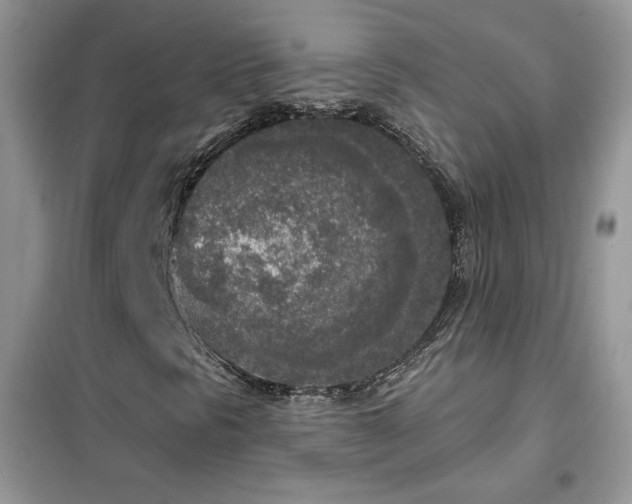 X0000102351297200808011154