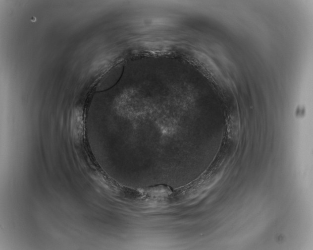 X0000102351298200808011154