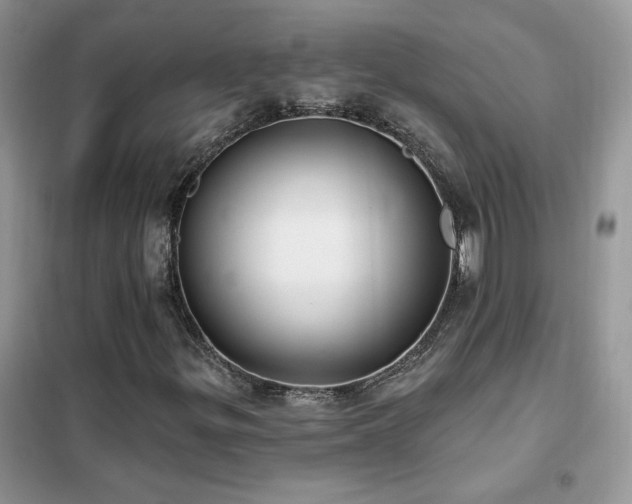 X0000102351299200808011154