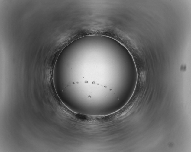 X0000102351300200808011154