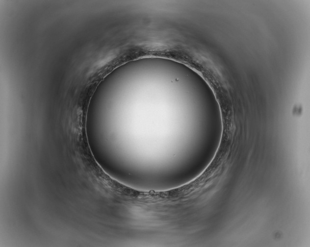 X0000102351301200808011154