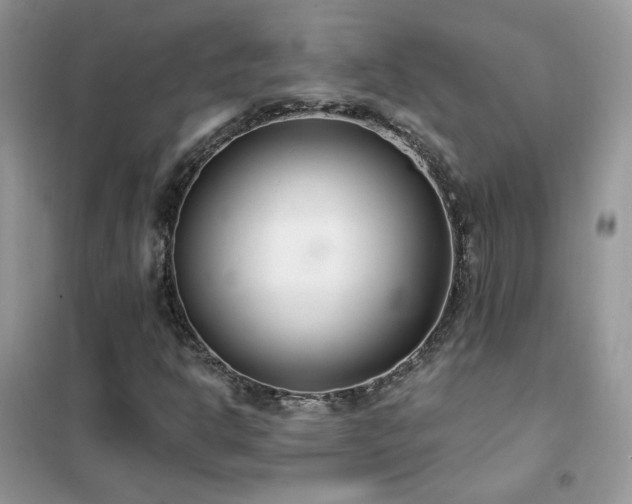 X0000102351302200808011154