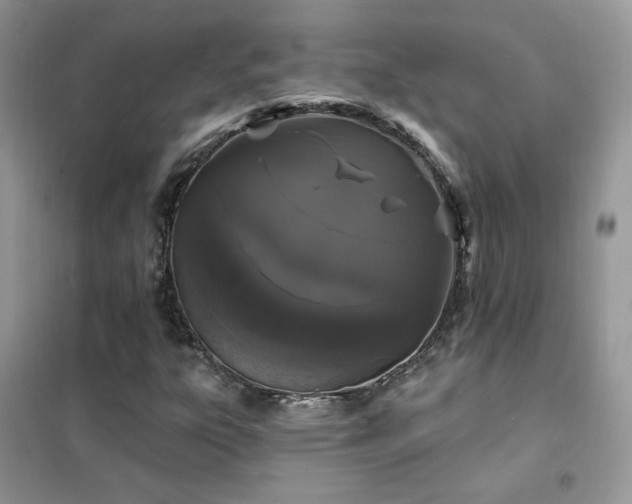 X0000102351303200808011154