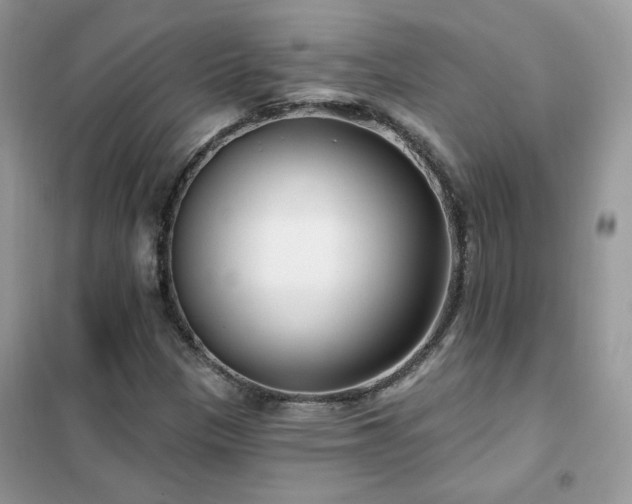 X0000102351305200808011154