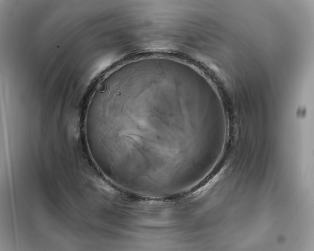 X0000102351306200808011154