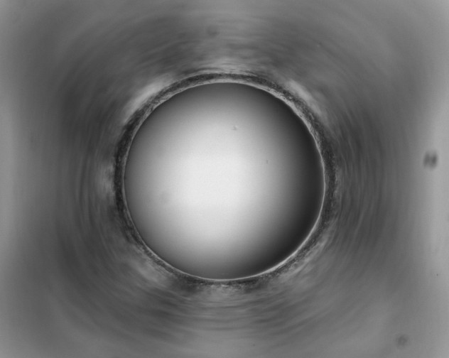 X0000102351307200808011154