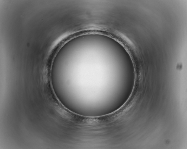 X0000102351310200808011154