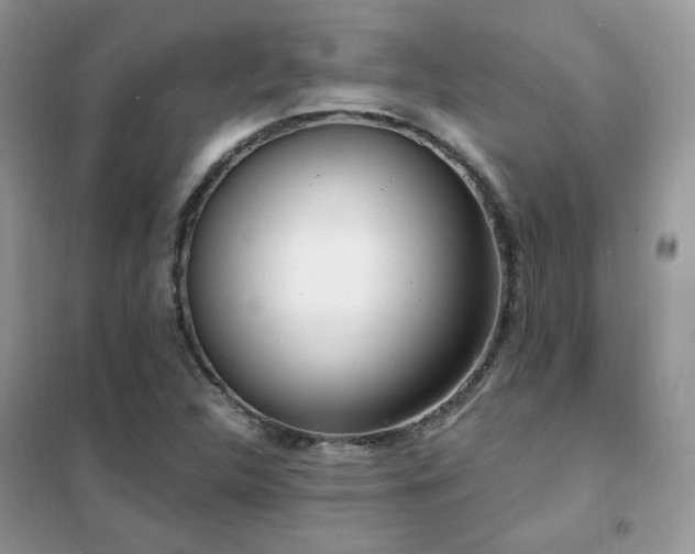 X0000102351312200808011154