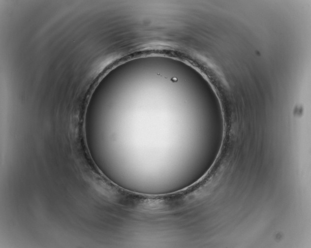 X0000102351313200808011154