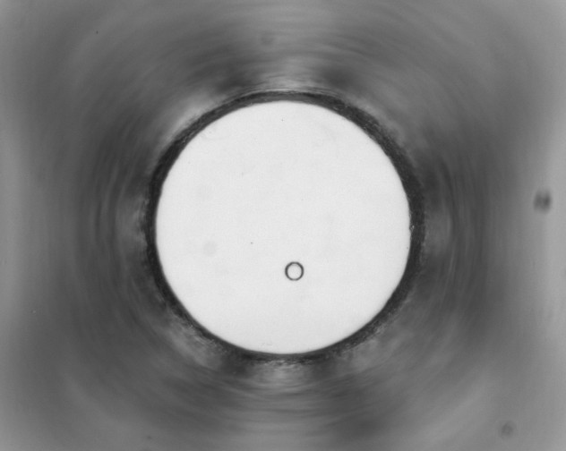 X0000102351314200808011154