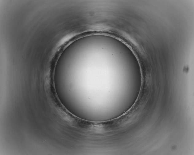 X0000102351315200808011154