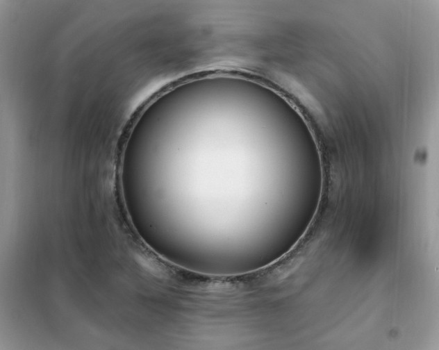 X0000102351316200808011154