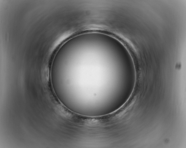 X0000102351317200808011154