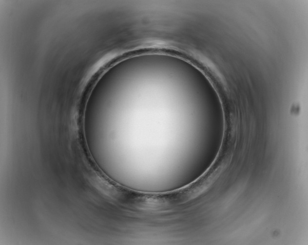 X0000102351318200808011154