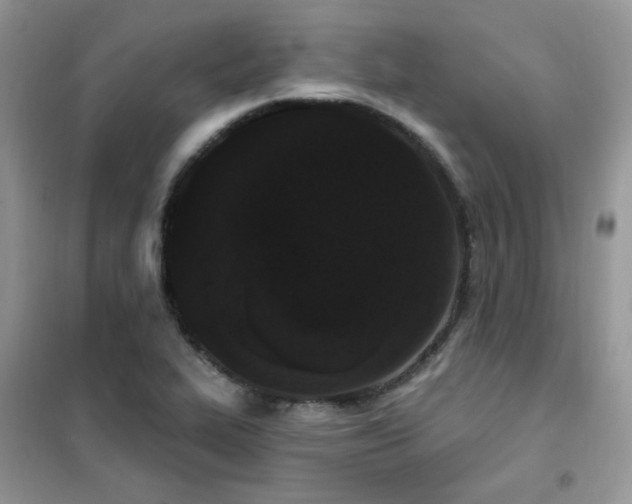 X0000102351319200808011154