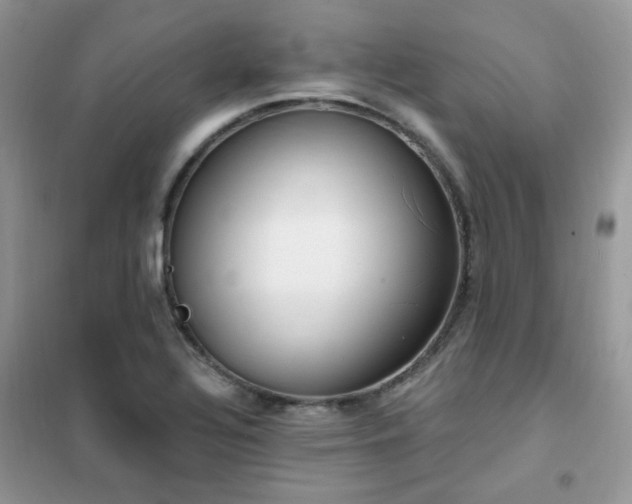 X0000102351320200808011154