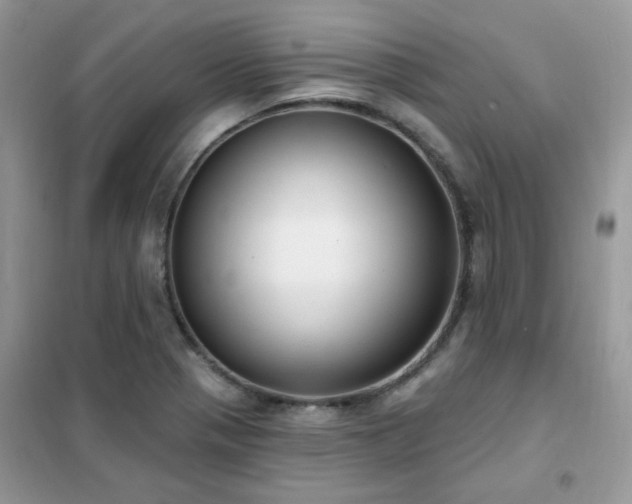 X0000102351321200808011154