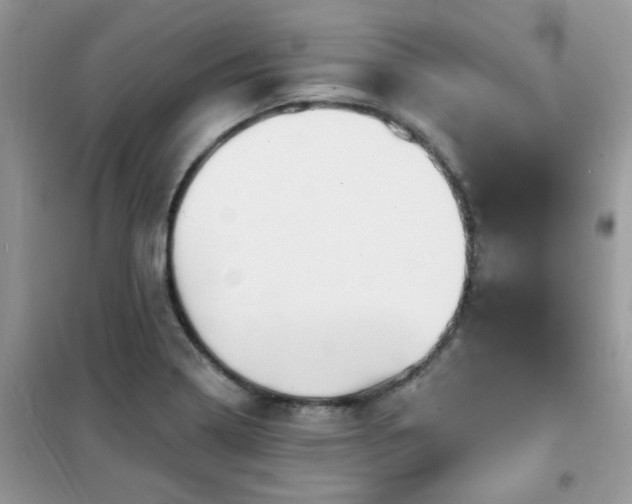 X0000102351322200808011154