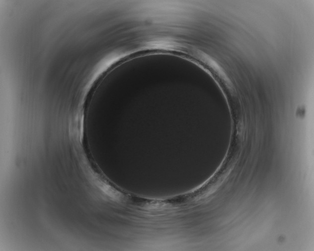 X0000102351323200808011154