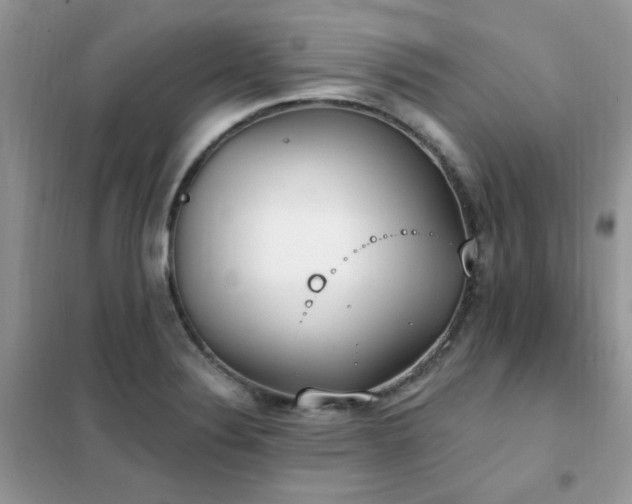 X0000102351324200808011155