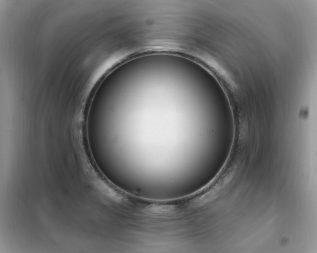 X0000102351325200808011155