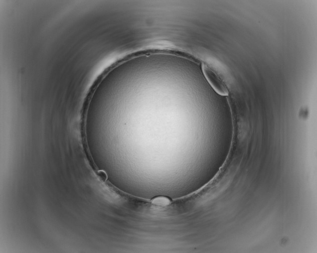 X0000102351326200808011155