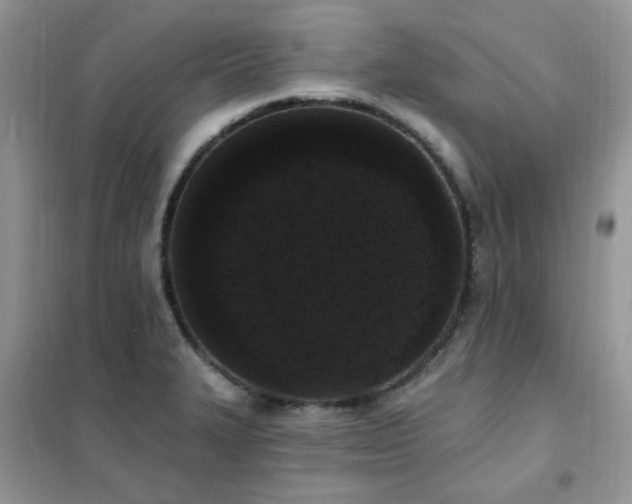 X0000102351327200808011155