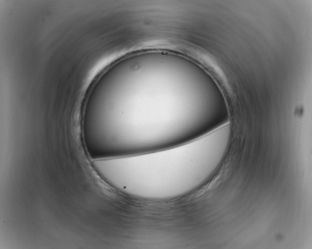 X0000102351328200808011155