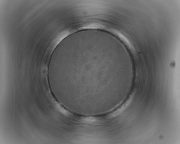 X0000102351329200808011155