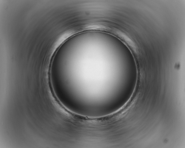 X0000102351330200808011155