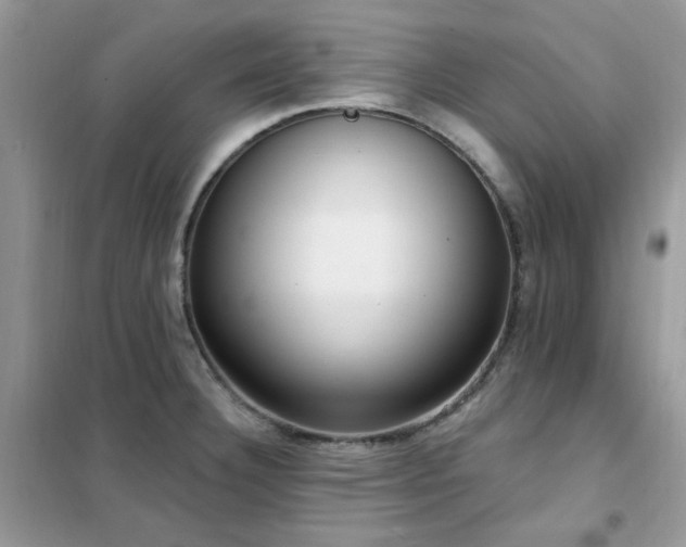 X0000102351332200808011155