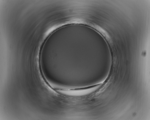 X0000102351334200808011155