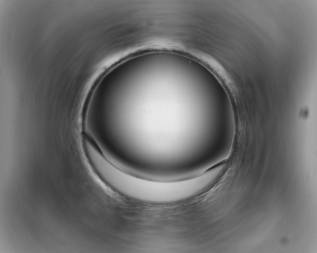 X0000102351335200808011155