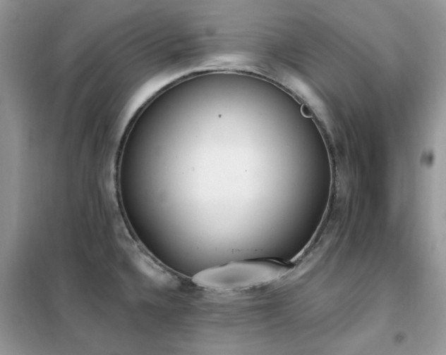 X0000102351336200808011155