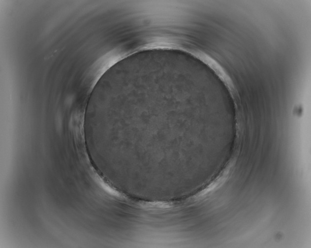 X0000102351337200808011155