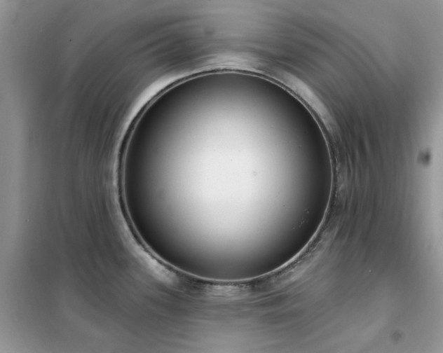 X0000102351339200808011155