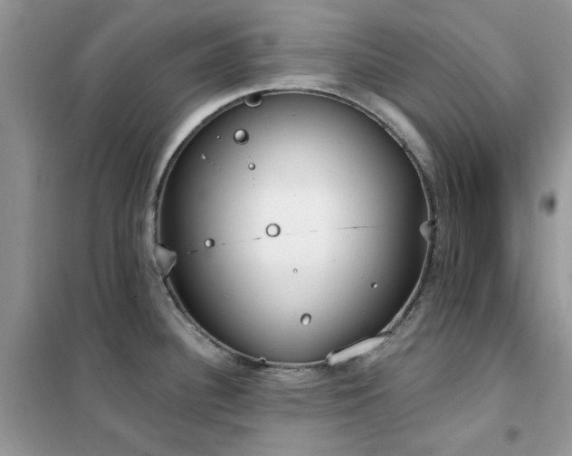 X0000102351340200808011155