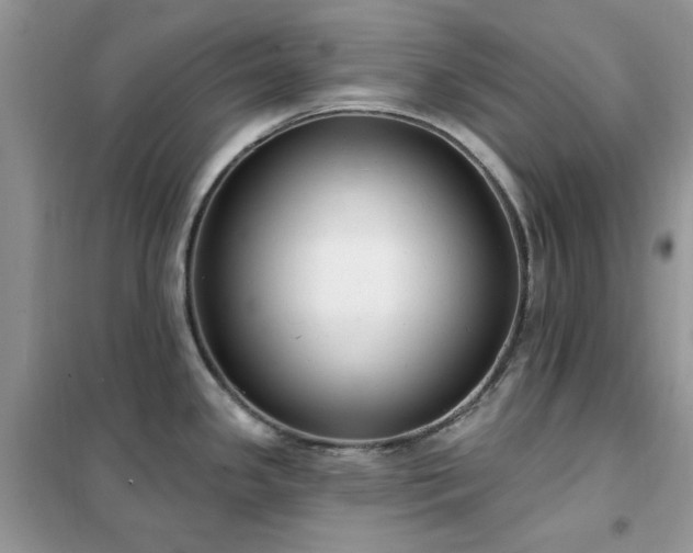 X0000102351341200808011155