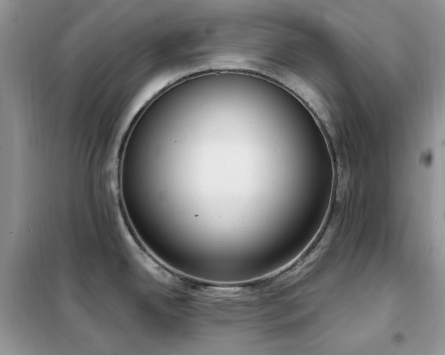 X0000102351342200808011155