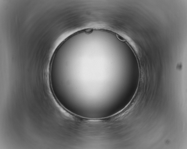 X0000102351343200808011155