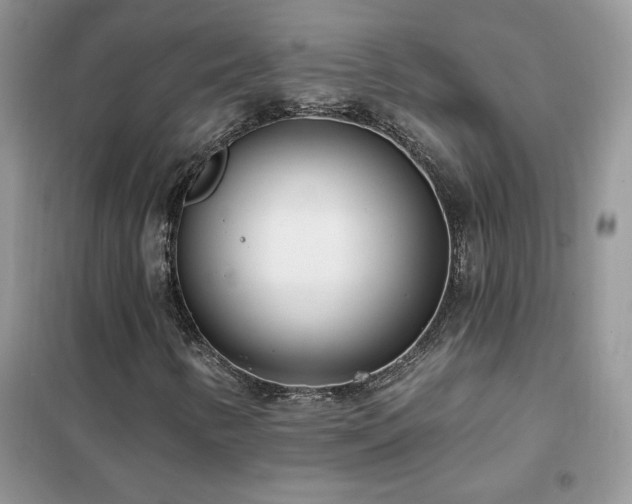 X0000102351346200808011154