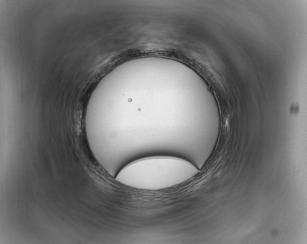 X0000102351348200808011154