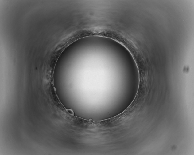 X0000102351349200808011154