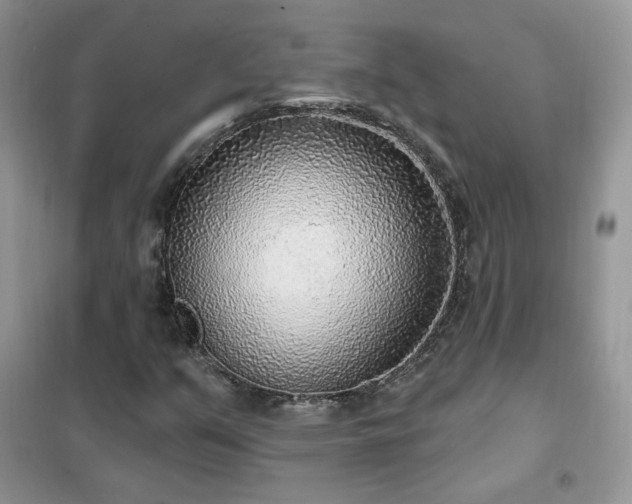 X0000102351351200808011154