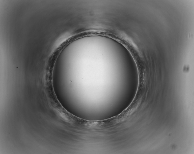 X0000102351352200808011154