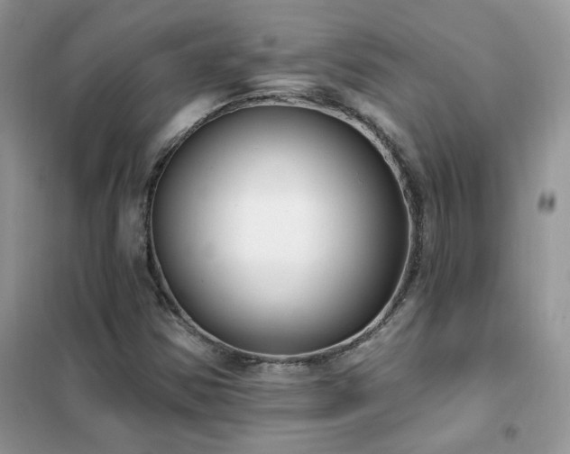 X0000102351354200808011154