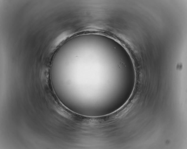 X0000102351355200808011154