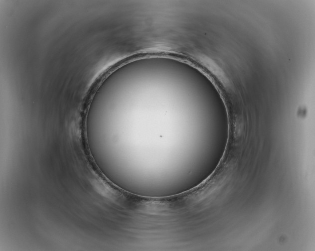 X0000102351356200808011154